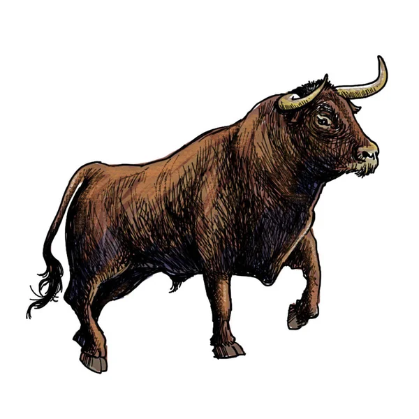 Gambar tangan ilustrasi banteng — Stok Foto