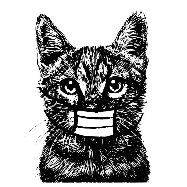 Illustration Der Katze Mit Maske Hand Gezeichnet Isoliert Auf Weißem — Stockvektor