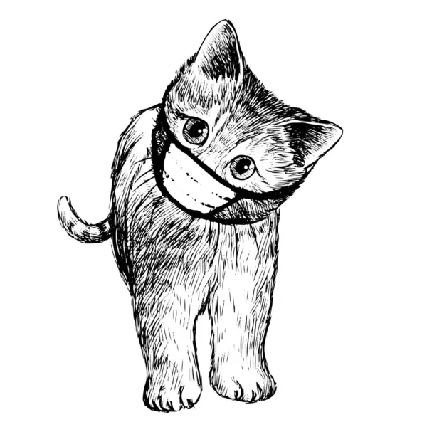 Ilustración Gato Con Máscara Dibujada Mano Aislada Sobre Fondo Blanco — Archivo Imágenes Vectoriales