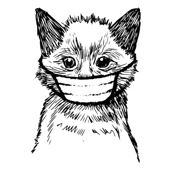 Illustration Der Katze Mit Maske Hand Gezeichnet Isoliert Auf Weißem — Stockvektor