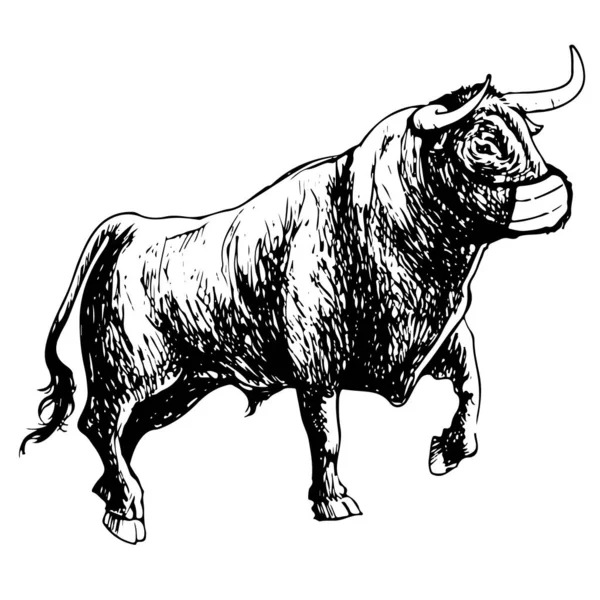 Ilustrasi Bebas Banteng Dengan Topeng Pada Latar Belakang Putih Gambar - Stok Vektor