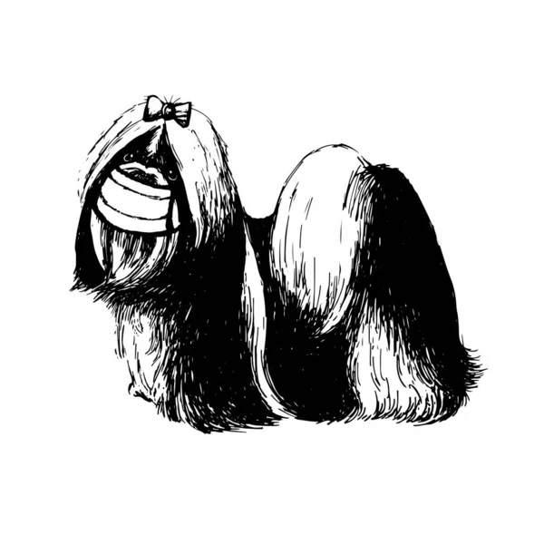 Рисунок Собаки Цзы Нарисованной Рукой Маске — стоковый вектор