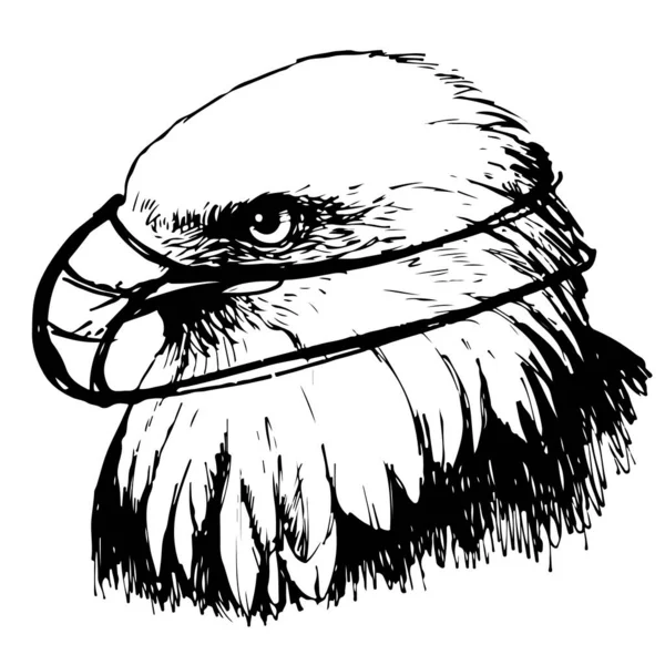 Černobílý Orel Maskou Ručně Kreslené Bílém Pozadí — Stockový vektor