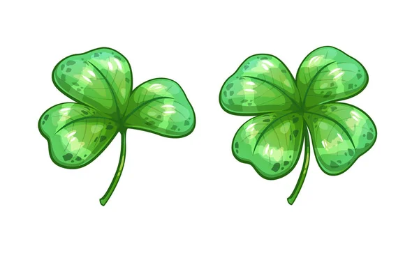 Realistic clover leaves. — Stock Vector