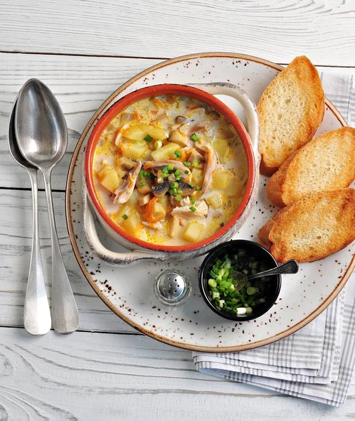 Zuppa di formaggio con funghi, pollo, patate e carote . — Foto Stock