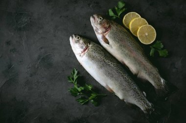 Siyah bir arka plan üzerinde organik çiğ taze alabalık balık. Üstten Görünüm.