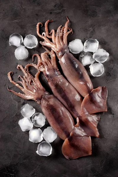 Karanlık granit zemin üzerine taze çiğ bütün kalamar. Üstten Görünüm.