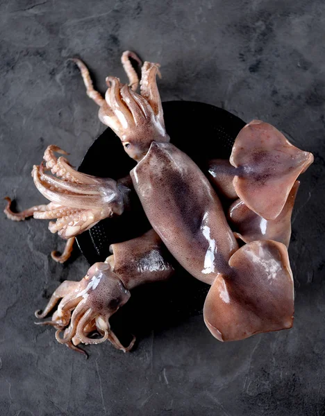 Karanlık granit zemin üzerine taze çiğ bütün kalamar. Üstten Görünüm.