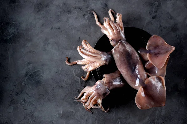 Karanlık granit zemin üzerine taze çiğ bütün kalamar. Üstten Görünüm.