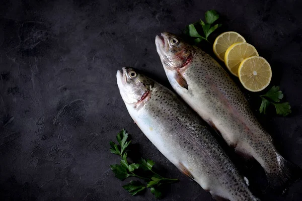 Siyah bir arka plan üzerinde organik çiğ taze alabalık balık. Üstten Görünüm.
