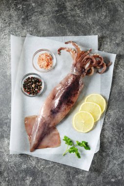 Gri arka planda taze çiğ mürekkep balıkları. Sağlıklı yemek..