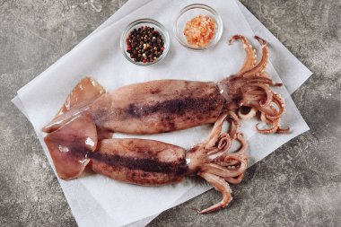 Gri arka planda taze çiğ mürekkep balıkları. Sağlıklı yemek..