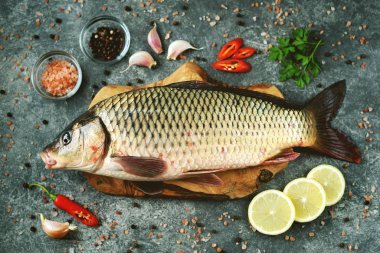 Canlı, çiğ sazan balığı. Taze nehir balığı. Vahşi balık..