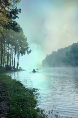 sabah sis bataklık peyzaj