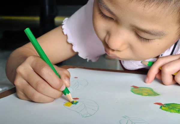 closeup little asian girl hand draw her picture with color penci