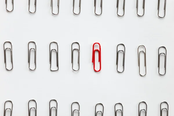 Metal paperclips in rows, one red different from the others — Stock Photo, Image