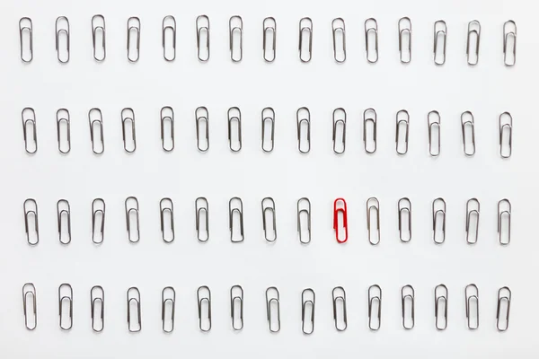 Metal paperclips in rows, one red different from the others — Stockfoto