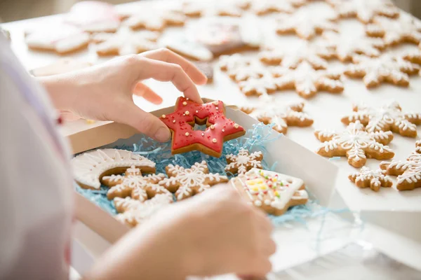 Gingerbread çerezleri b ambalaj pudra el yakın çekim