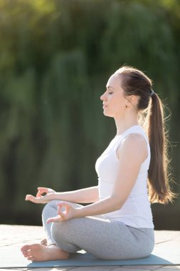 Kolay koltuk egzersiz