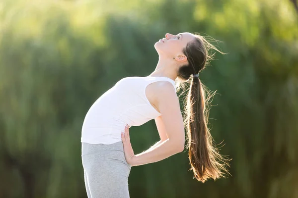 Close up of a camel pose — Stock Photo, Image