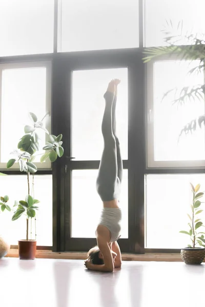 Jonge aantrekkelijke vrouw in salamba sirsasana pose, interieur — Stockfoto