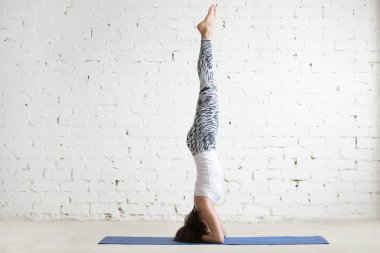 Sirasana sirsasana genç çekici kadın poz, beyaz studio b