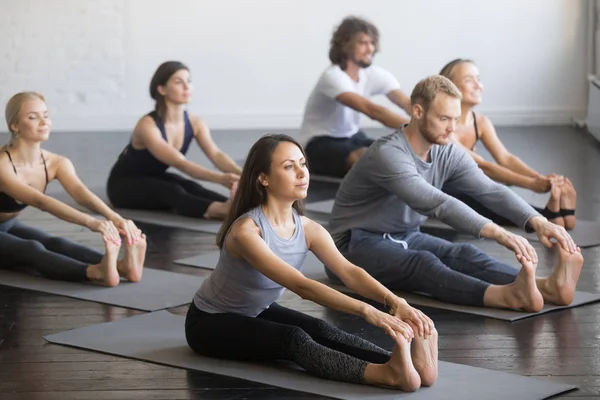 Paschimottanasana ポーズでスポーティな若者のグループ — ストック写真