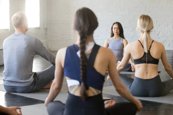 Grupp unga sportiga människor i lätt sits, bakifrån — Stockfoto