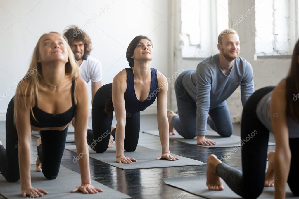 Group of young sporty people in Bitilasana pose