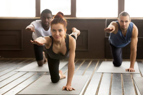 Group of sporty people in Bird dog exercise with instructor — Stock Photo, Image