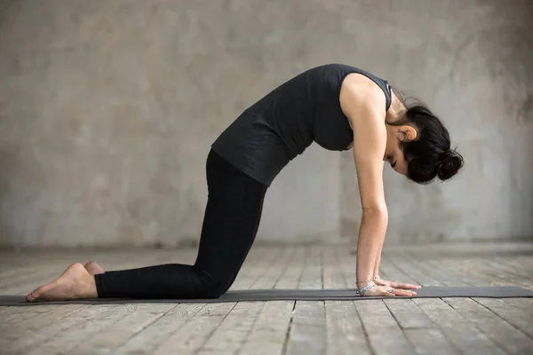 Young woman in Cat pose — Stock Photo, Image