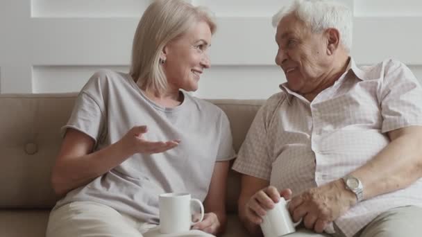 Счастливая пожилая пара разговаривает смеясь пьет чай вместе — стоковое видео