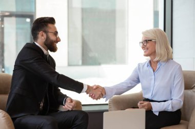 Çeşitli etnik çeşitlilikte gülümseyen meslektaşlar el sıkışarak anlaşmayı bitiriyor