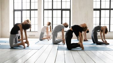 Çeşitli insanlar yoga yapıyor, Ustrasana egzersizi yapıyor, deve pozu veriyor.