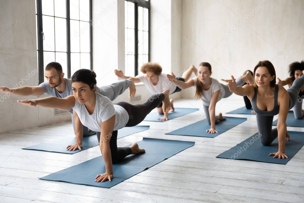 Diverse people doing Bird dog exercise, practicing yoga in studio