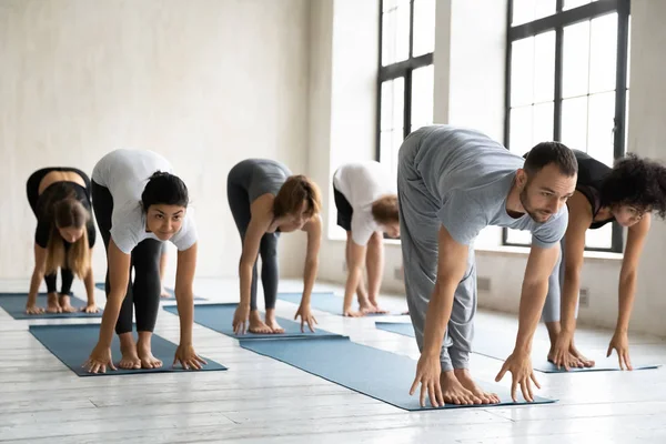Diversas personas haciendo medio ejercicio de flexión hacia adelante, practicando yoga —  Fotos de Stock