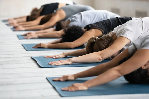 Diverse personer som strekker seg i barnepositur på rad, praktiserer yoga – stockfoto