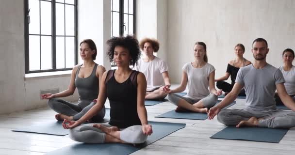 Multi-ethnic girls guys sitting in lotus position do meditation practice — 비디오