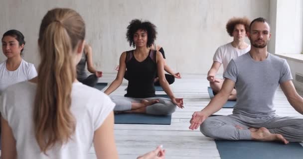 Instructeur de yoga et diverses personnes méditant assis en position lotus — Video