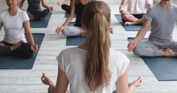 Diverse people meditating together during morning yoga session practice indoors Video Clip