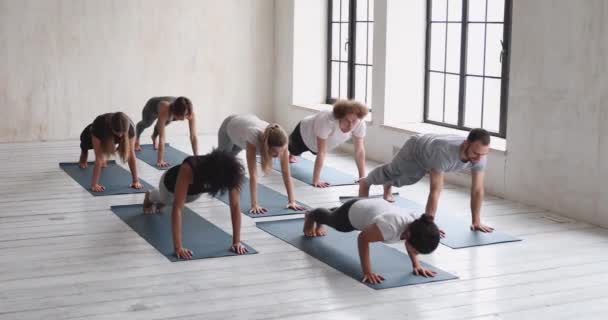 Trainer and group do Upward and Downward Facing Dog Positions — Stock Video