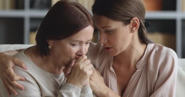 Cuidar jovem filha se desculpar reconfortante triste velha mãe pedir desculpa — Vídeo de Stock