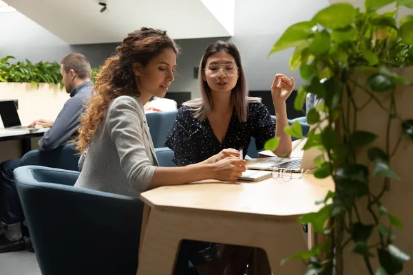 Multiethnic female employees busy cooperating in office — Stock Photo, Image