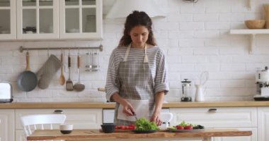 Pleasant young attractive woman chopping fresh vegetables for salad.