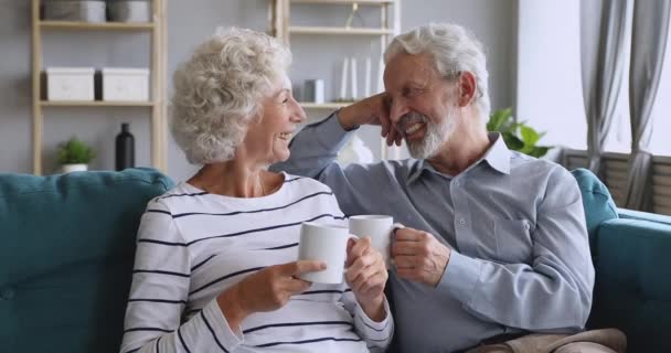 Cariñosa pareja madura disfrutando de la conversación, sosteniendo tazas de té caliente . — Vídeos de Stock