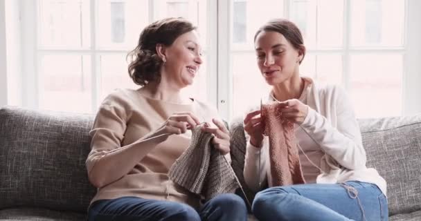 Friendly happy mature mum and adult daughter chatting knitting together — Stockvideo