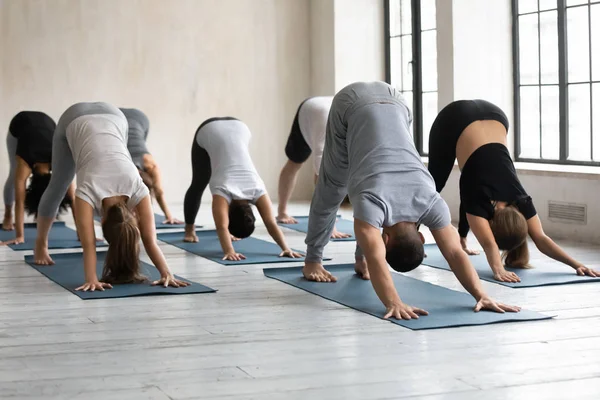 Männlicher Trainer und Gruppe von Menschen, die nach unten gerichtete Hunde spielen — Stockfoto