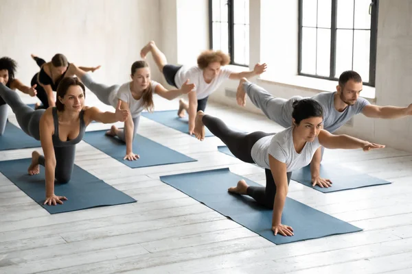 Grupp av multietniska personer som utför fågelhund Asana — Stockfoto