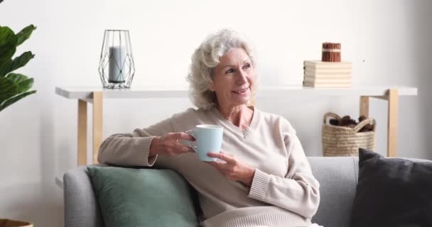 Glimlachende senior dame drinken thee kijken naar camera thuis — Stockvideo