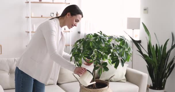 Mladá žena držení plechovka zavlažování dům rostlina doma — Stock video